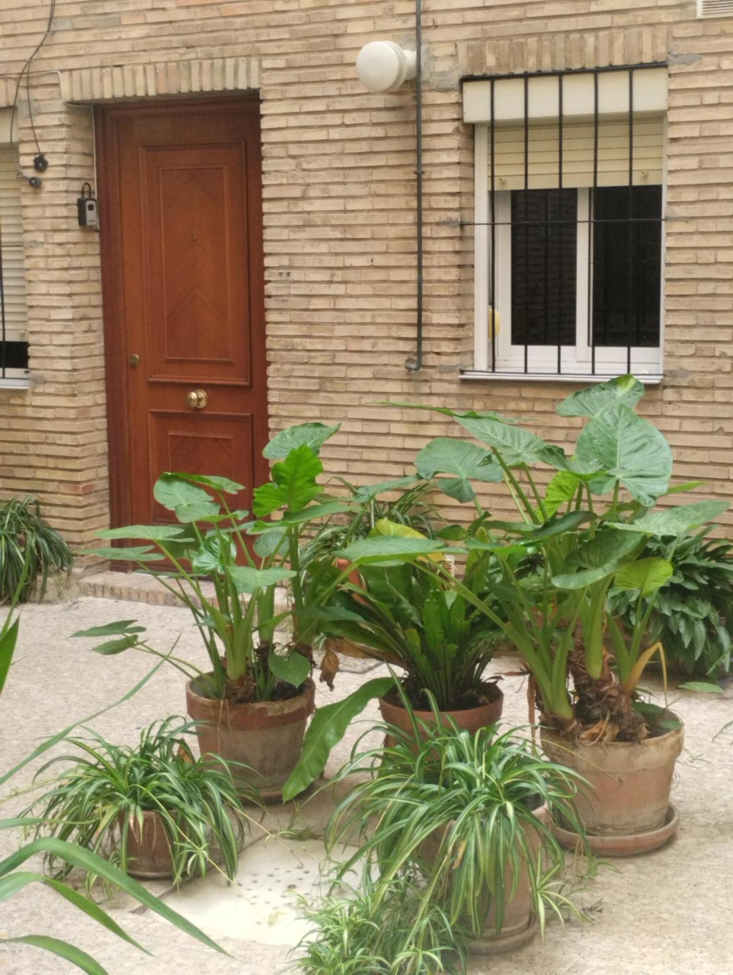 شقة La Casa De Pepa إشبيلية المظهر الخارجي الصورة