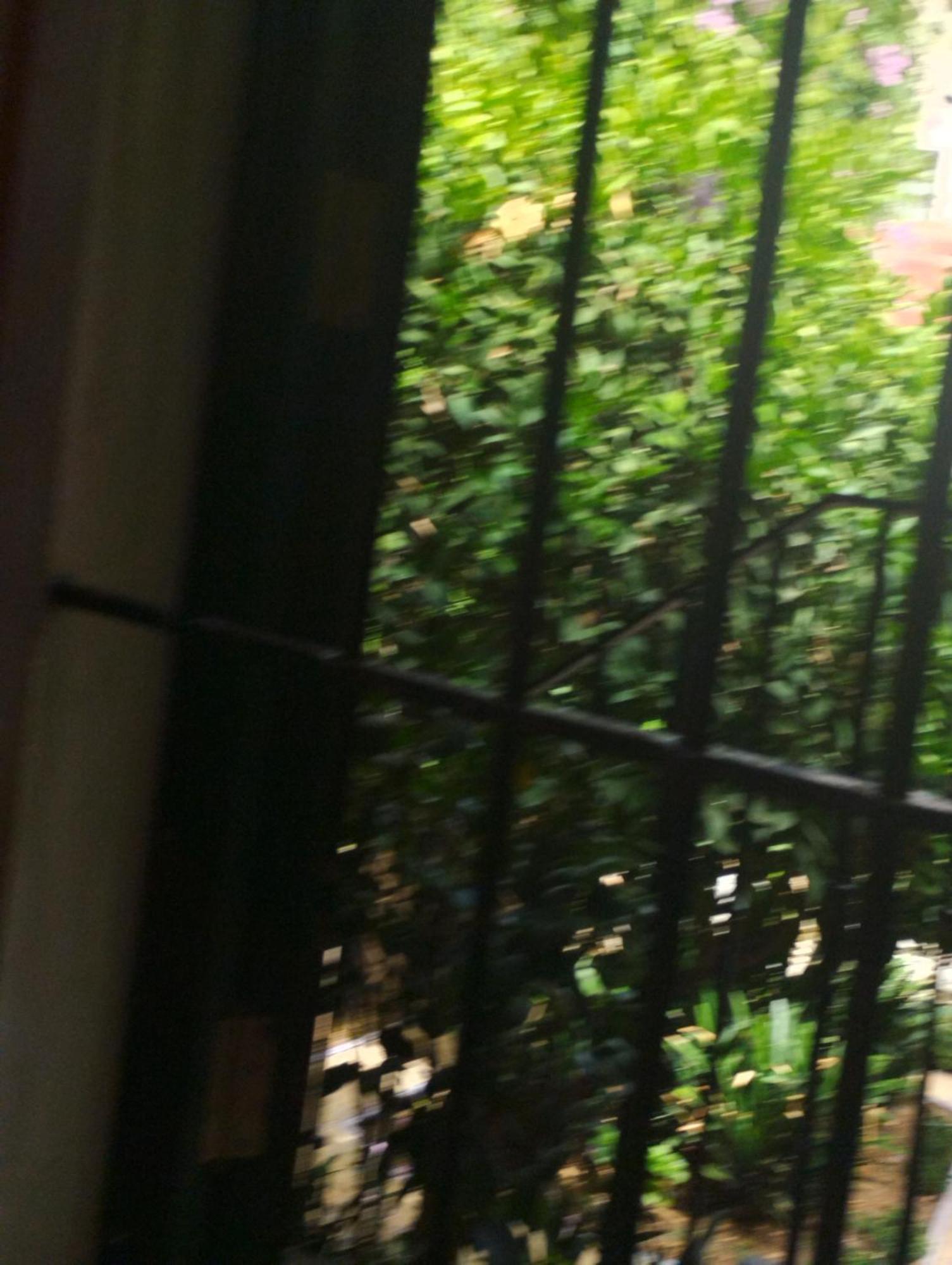 شقة La Casa De Pepa إشبيلية المظهر الخارجي الصورة
