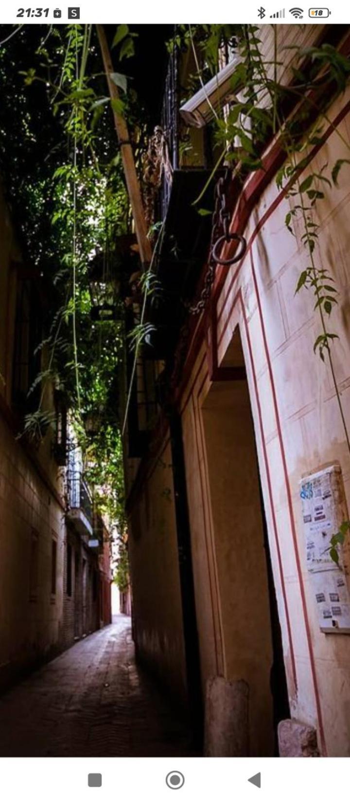 شقة La Casa De Pepa إشبيلية المظهر الخارجي الصورة